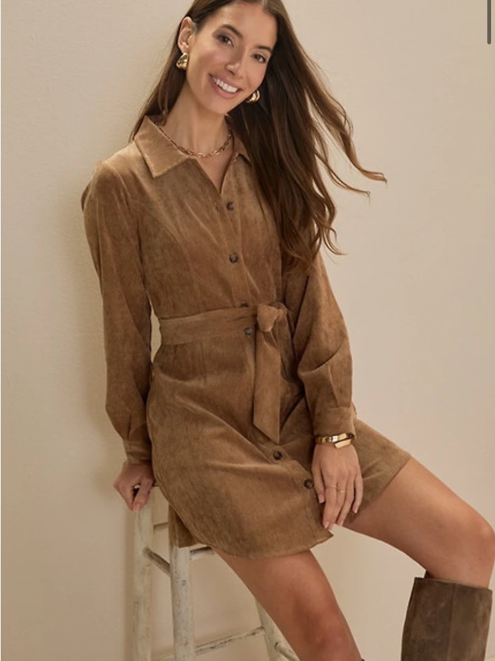 Audrey Suede Corduroy Shirt Dress